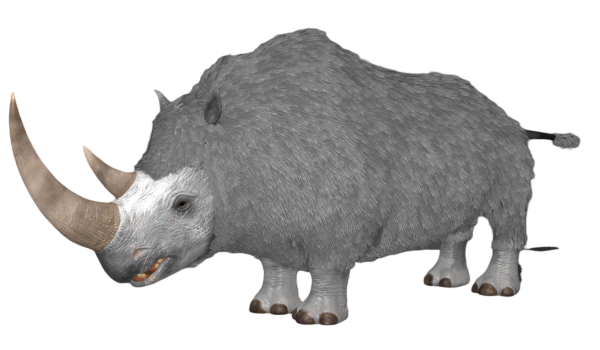 wooly rhino